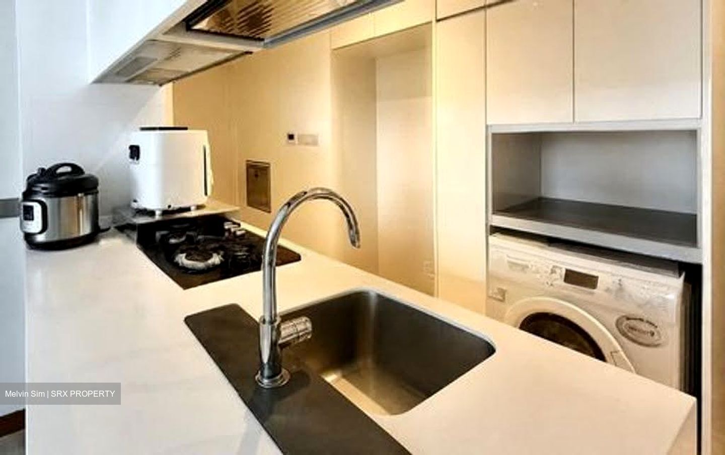 Vista Residences (D12), Condominium #635035821